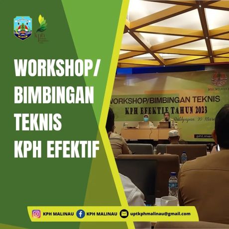 Workshop Bimbingan Teknis KPH Efektif